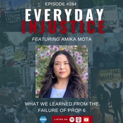 Everyday Injustice Podcast Episode 264: A Sister Warrior Talks About What Next For CJR