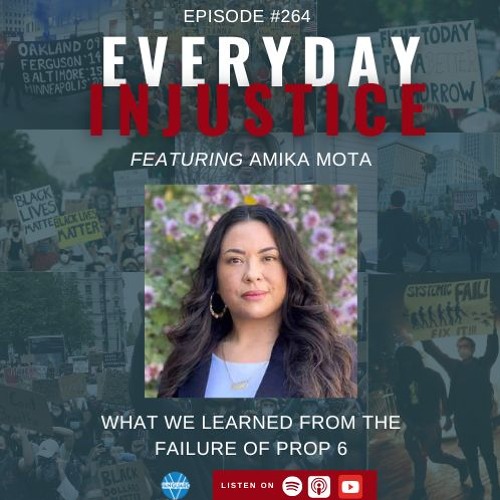 Everyday Injustice Podcast Episode 264: A Sister Warrior Talks About What Next For CJR