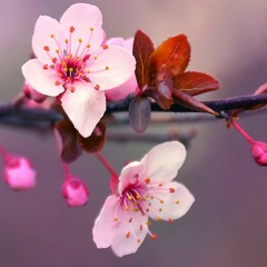 STS349TEAM Assignment 1