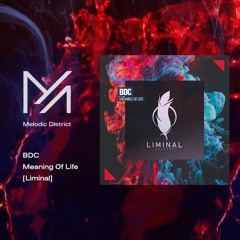 PREMIERE: BDC - Meaning Of Life [Liminal]