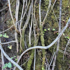 Mix Series 02: Deep/Progressive/UK House