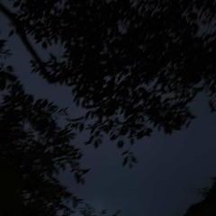 Gloomy Star