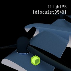 flight75 (disquiet0548)