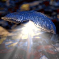 Loungin' & locked mix