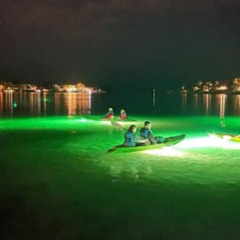 Review Special Price Sharkey'S Glass Bottom Fish Feeding Led Night Tour In Sarasota