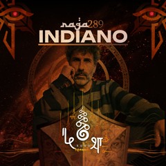 rāga 289 • Indiano • Revisiting