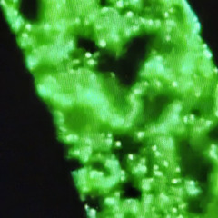 Jit gone with the wind