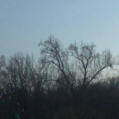 Fallen Down on an out of tune piano slowed