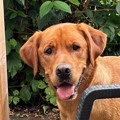 20.10.23_Miros Playlist_Volume 3