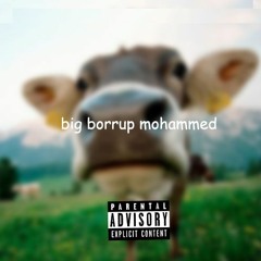 Mohammed Too Famous - Big Borrup Freestyle