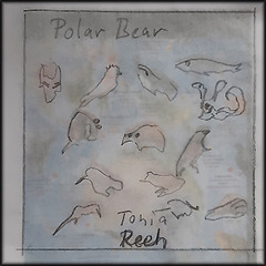 polar bear