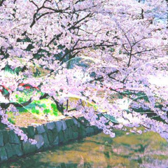 اغنية جميلة