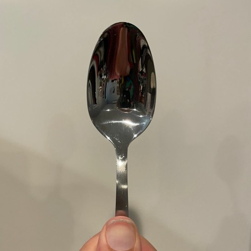 Caregivers' Instinctive Travels and the Paths of Spoon Theory