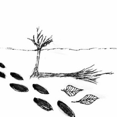 Footprints, Shadows, and Leaves