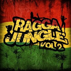 Ragga Jungle - Drum n Bass Mix - vol. 2