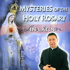 THE FOUR MYSTERIES OF THE HOLY ROSARY IN LATIN
