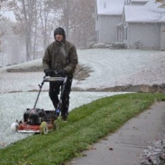 Cutting Grass