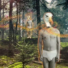 ÂGE D'OR / Ozanne / Création originale