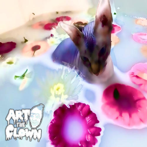 Paul Pogba ( Outro )