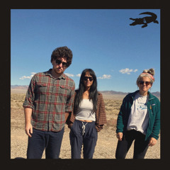 The Wake - The Sand Gators