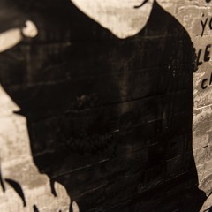 FOX BASE ALPHA @ Caña