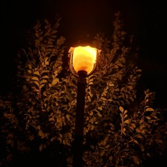 dance layan dance, dhafer youssef.mp3