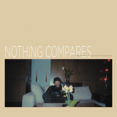 nothing compares