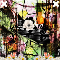 Bloom away