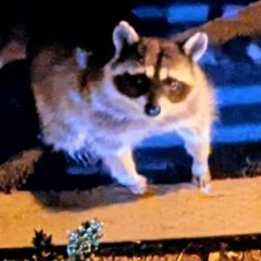 would it matter if your friends knew?