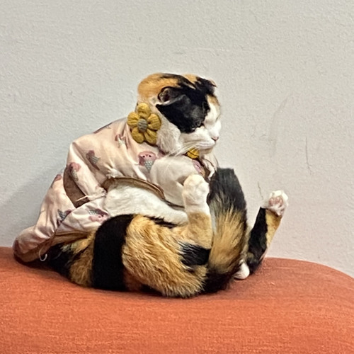 UOC- Duc Anh ft huyhoang n Phong Nguyen