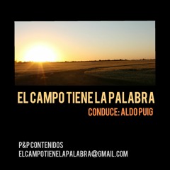 El campo- 12-01-2021