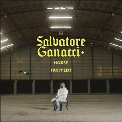 Salvatore Ganacci - Horse [Kiruaz & R3sspawn Party Edit FREE DL]