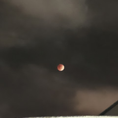 a lot of rap shit (SOLD)