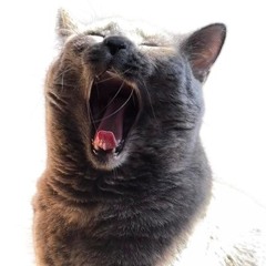 ARCHIVES_MAUDIT_Wavy_Beat_3