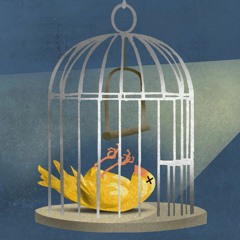 The bird is in the birdcage- [ Dirt poor robins]