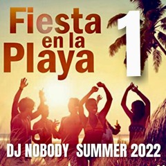 DJ NOBODY presents FIESTA EN LA PLAYA 2022 Part 1