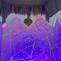 2024 Burning Man Ripper's Row Raw Safari Set
