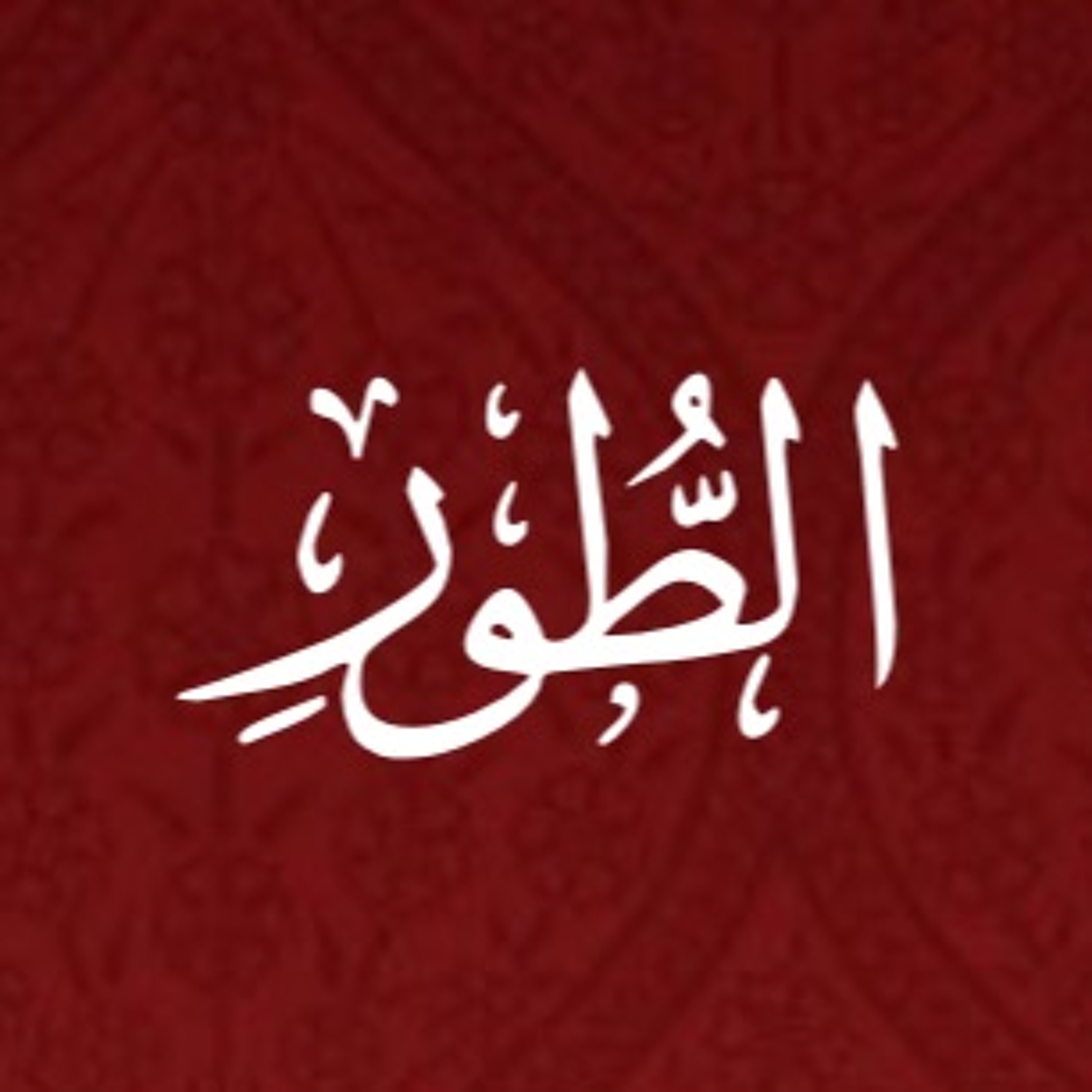 Quran Urdu Translation