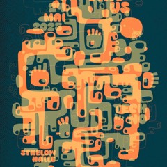 FLESKES611SEKSELF@Strelow (24.Mai2025)