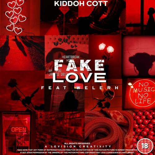 Fake Love ( Feat. Welerh )