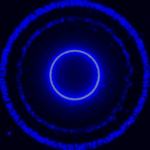 Orbiter
