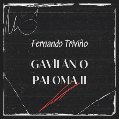Gavilán o paloma 2