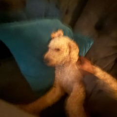 blowing up freestyle [prod @fw.cal]