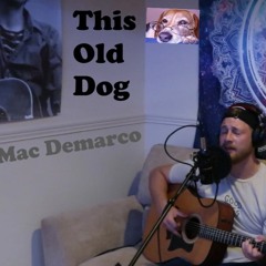 This Old Dog - Mac Demarco (Cover by Michael Mahoney)