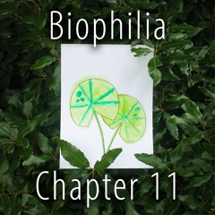 Biophilia - Chapter 11