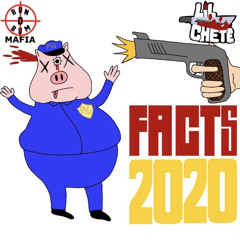 Facts 2020 (Prod. SPG)