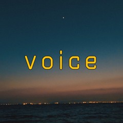 Voice