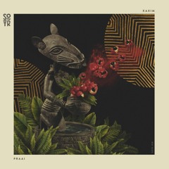 XAXIM, Laylah Arruda - Pó De Guaraná (Kajan Chow Acid Dub Mix)