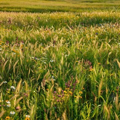 лучший март (prod. pobedathecastle)