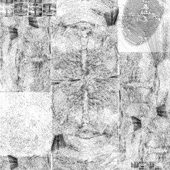 Speaking Sinkhole, 2025.